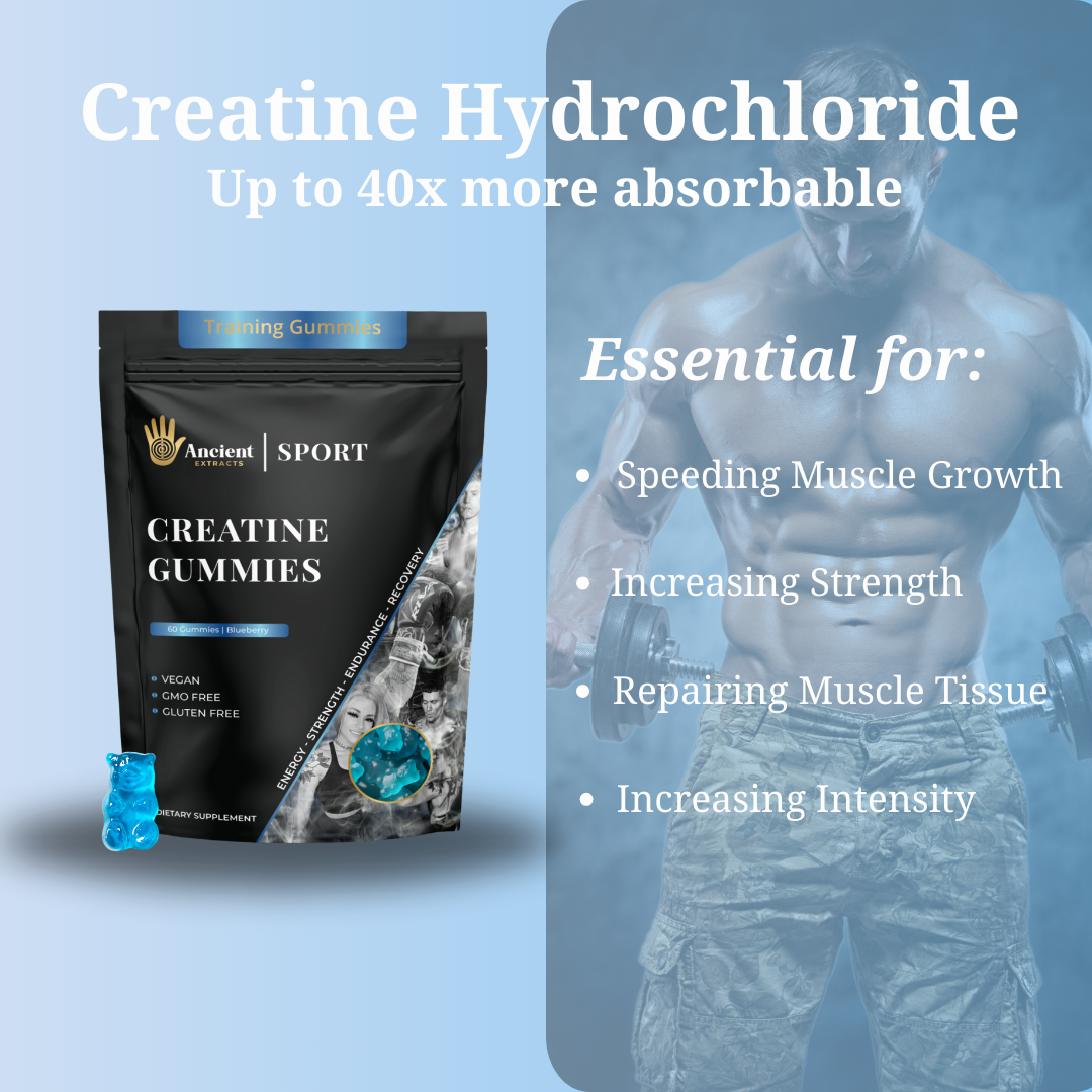 Fit plus - Creatine Hydrochloride Gummies (Max Absorption)